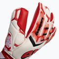 4keepers Force V 4.20 HB guanti da portiere bianco/rosso 3