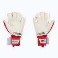 4keepers Guard Cordo MF guanti da portiere rosso 2