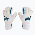4keepers Champ AQ Contact V RF guanti da portiere per bambini bianco/blu