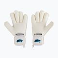 4keepers Champ AQ Contact V RF guanti da portiere per bambini bianco/blu 2