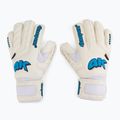 4keepers Champ Aqua V RF guanto da portiere bianco/blu