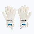 4keepers Champ Aqua V NC guanto da portiere bianco/blu 2