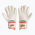 4keepers Champ Training V RF guanti da portiere bianco/arancio 2