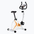 Bicicletta stazionaria HMS Premium M2005 17-01-017 3