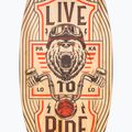 Skimboard PAKALOLO Ride L/XL multicolore 4