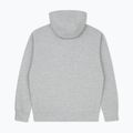 Felpa da uomo MANTO Logo Hoody grigia 2