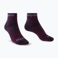 Calze da trekking da donna Bridgedale Hike Midweight Performance Ankle dark purple