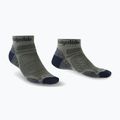 Calze da trekking da uomo Bridgedale Hike Ultralight Performance Ankle khaki/navy
