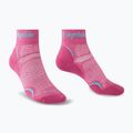 Calze da trekking da donna Bridgedale Hike Ultralight Performance Ankle pink