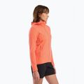 Felpa da trekking Arc'teryx Kyanite LT Hoody solasta da donna 4