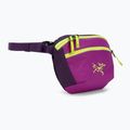 Arc'teryx Mantis 1 Waist Pack marsupio groovie/espanso 2