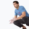 T-shirt Arcteryx Arc'Word Logo da uomo, lavaggio stone wash 4
