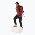 Piumino Arc'teryx Cerium Hoody Uomo sequoia/solaris 2
