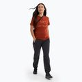 Maglietta Arc'teryx Arc'Word Cotton sequoia/solaris da donna 2