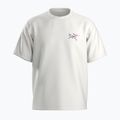 Maglietta Arc'teryx Kragg Cotton Logo uomo bianco light/anima