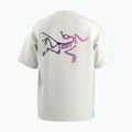 Maglietta Arc'teryx Kragg Cotton Logo uomo bianco light/anima 2