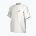 Maglietta Arc'teryx Kragg Cotton Logo uomo bianco light/anima 3