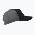 Cappello da baseball Arc'teryx Bird Word Trucker nero /cloud 4