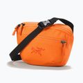 Arc'teryx Mantis 1 1,5 l verve bustina
