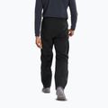 Pantaloni da trekking da uomo Arcteryx Beta black 3