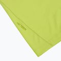 Maglietta da uomo Arcteryx Cormac Logo mantis 3