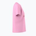 Maglietta da donna Arcteryx Kragg SL Cotton Heatmap Crew pineberry 4