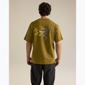 T-shirt da uomo Arcteryx Kragg Cotton Logo SS bracken 3