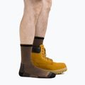 Calze da uomo Darn Tough Fred Tuttle Micro Crew Cushion timber 2