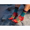 Calze da trekking da uomo Darn Tough Heady Stripe verde acqua 2