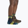 Calze da donna Darn Tough Bear Town Micro Crew Cushion dark teal 2
