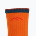 Calze da trekking da uomo Darn Tough Hiker Micro Crew blaze 3
