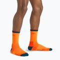 Calze da trekking da uomo Darn Tough Hiker Micro Crew blaze 5