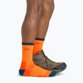 Calze da trekking da uomo Darn Tough Hiker Micro Crew blaze 6