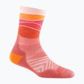 Calze da donna Darn Tough Horizon Micro Crew Cushion canyon