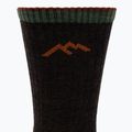 Calze da uomo Darn Tough Hiker Micro Crew walnut 3