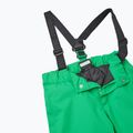 Pantaloni da sci Reima per bambini Proxima cat eye verde 3