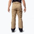 Pantaloni da sci da uomo Halti Carvey DX kelp beige 2