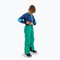 Pantaloni da sci per bambini Reima Proxima green 7