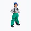 Pantaloni da sci per bambini Reima Proxima green 10