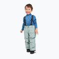 Pantaloni da sci per bambini Reima Proxima stone green