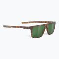 Occhiali da sole Rudy Project Stellar demi marrone lucido/verde