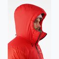 Piumino Arcteryx Alpha Parka dynasty da uomo 4