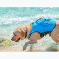 Aquatone Pawsome Gilet di sicurezza per cani blu 12