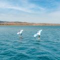 Aztron Soar 4.0 ala d'aria per Wingfoil 5