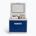 Igloo Hybrid Travel Refrigerator IH45 43 l blu 9