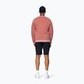 Maglione Devold Islender Refined marsala/offwhite 6