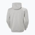 Felpa da uomo con cappuccio Helly Hansen HH Logo grigio/melange 2