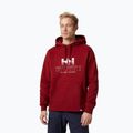 Felpa Helly Hansen Arctic Ocean Hoodie da uomo color sangue di bue