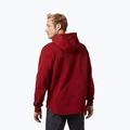 Felpa Helly Hansen Arctic Ocean Hoodie da uomo color sangue di bue 2