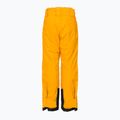 Pantaloni da sci Helly Hansen per bambini Elements cloudberry 2